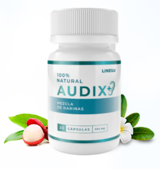 Audix